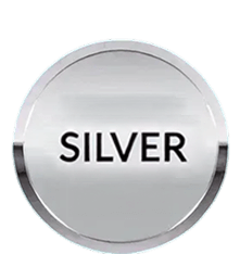 Silver Tier