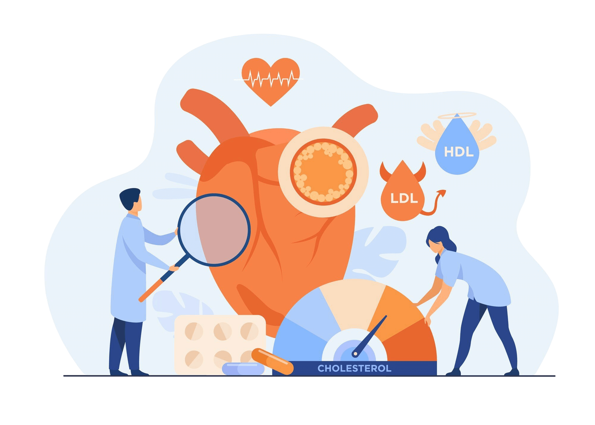 Cholesterol Structure